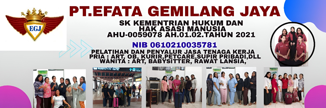 Efata Gemilang Jaya - Tim Profesional